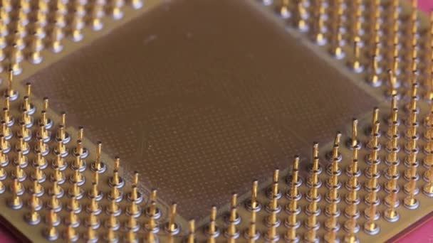 La CPU del vecchio processore di computer con contatti placcati oro gira su sfondo rosso — Video Stock