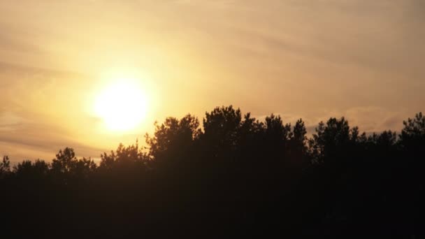 Tramonto incredibile attraverso le nuvole nel cielo arancione sopra la foresta — Video Stock