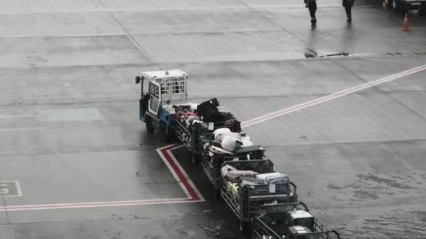 A carregar bagagem num avião. Um trator no aeroporto puxa carrinhos ao longo de uma pista — Vídeo de Stock