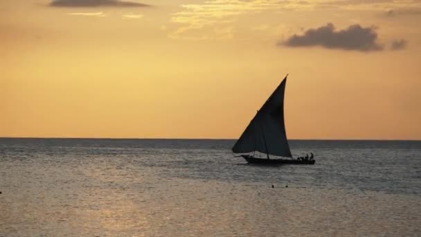 Silhueta de vela barco Dhow Vela ao pôr do sol na praia Shore, Zanzibar — Vídeo de Stock