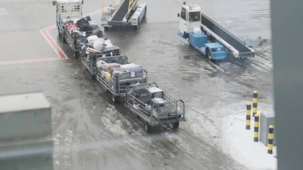 A carregar bagagem num avião. Carrinhos de sacos na pista para carregar na aeronave. — Vídeo de Stock