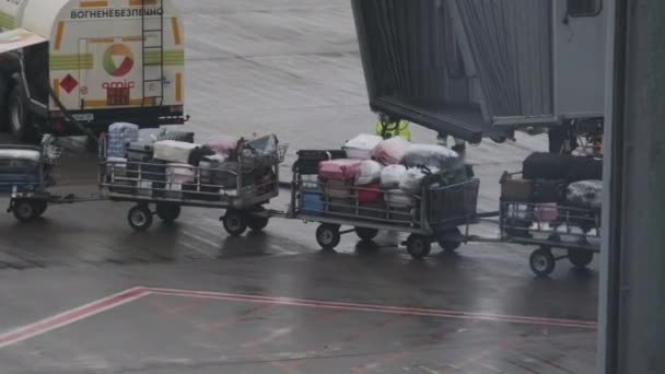 Погрузка багажа в самолет. Тележки с сумками на взлетно-посадочной полосе загружают в самолет. — стоковое видео