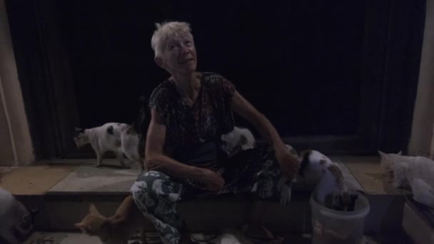 Egy idős nő gondozza a kóbor macskákat Stone Town utcáin, Afrikában, éjjel. — Stock videók