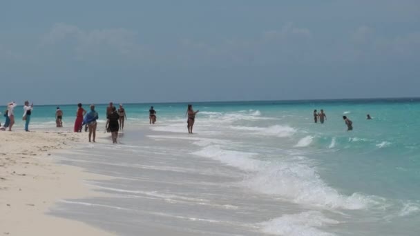 Veel toeristen ontspannen door turquoise helder water op het eiland Nakupenda, Zanzibar — Stockvideo