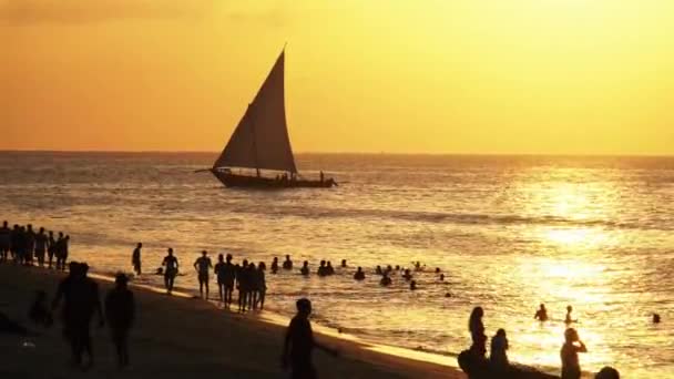 Silueta bărcii de navigație Dhow navighează la apusul soarelui pe plaja Shore, Zanzibar — Videoclip de stoc