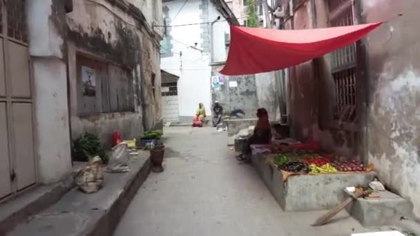 Walking Tour of Stone Town, Zanzibar, Smala, smutsiga gator med fattiga afrikaner — Stockvideo