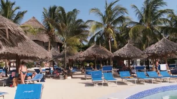 Hotel de luxo com espreguiçadeiras e piscina entre palmeiras e guarda-sóis embelezados — Vídeo de Stock