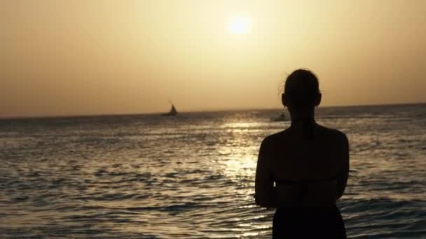 아름다운 젊은 여자가 아프리카의 바다에서 선셋을 바라보고 있는 모습 — 비디오