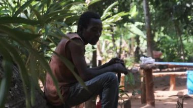 Afrika Ormanı 'nın Yürüyüş Patikası yakınlarında bir Afrikalı Rambutan satıyor.