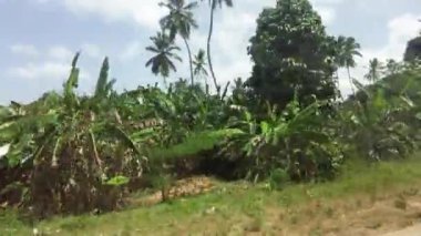 Palmiye ağaçları ve Afrika 'nın arasında harap olmuş evleri olan gecekondu ve köylerin önünden geçmek
