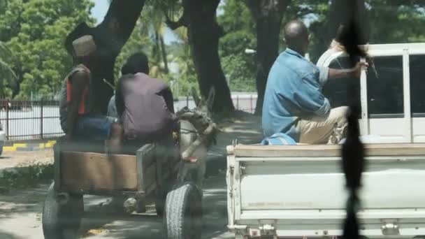 Afrikaner rider längs vägen på en vagn dragen av en åsna — Stockvideo