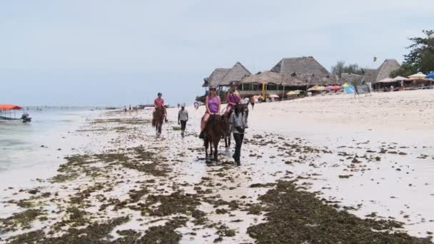 Turisté Jízda na koni na exotické pláži v blízkosti oceánu na tropickém pobřeží, Zanzibar — Stock video