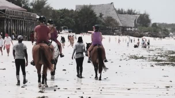 Turistas Passeios a cavalo em uma praia exótica perto do oceano em uma costa tropical, Zanzibar — Vídeo de Stock