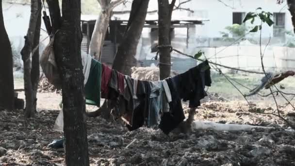 Kleidung wird an einer Wäscheleine in einem armen afrikanischen Dorf auf Sansibar getrocknet — Stockvideo