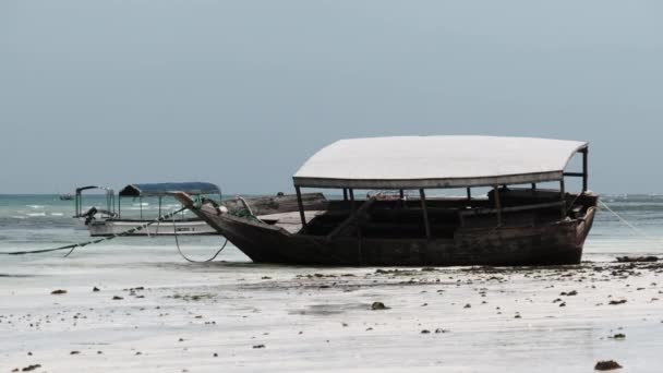 Afrikanisches Fischerboot strandet bei Ebbe im Sand am Strand von Sansibar — Stockvideo