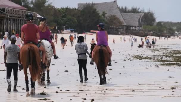 Turistler Okyanus kıyısındaki egzotik bir sahilde at biniyor. Tropikal bir sahil, Zanzibar. — Stok video