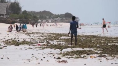 Yalnız Afrikalı bir çocuk Low Tide, Zanzibar sahilinde yürüyor.