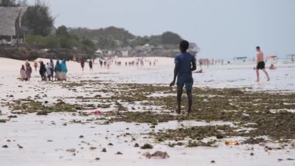 Одинокий африканский мальчик гуляет вдоль побережья пляжа при низком приливе, Занзибар — стоковое видео