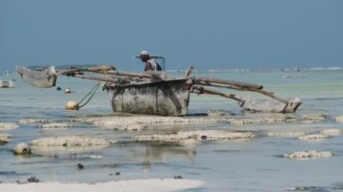 Afrika Geleneksel Tahta Teknesi Low Tide, Zanzibar 'daki kumsalda mahsur kaldı