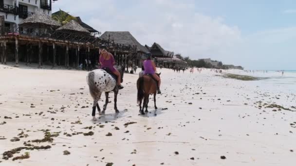 Turistas Montar a caballo en una playa exótica cerca del océano en una costa tropical, Zanzíbar — Vídeo de stock