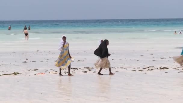 Famiglia Africana di mendicanti Passeggiate in gruppo su una spiaggia tra i turisti, Zanzibar — Video Stock