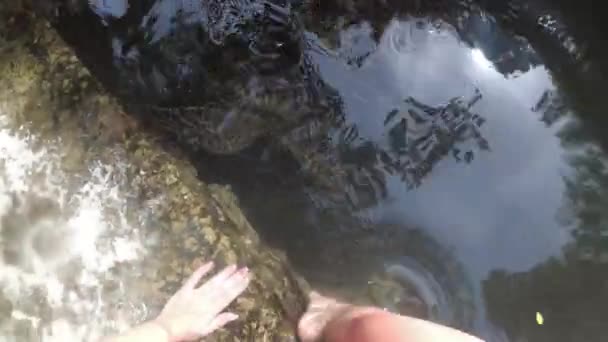 Persone Alghe che alimentano tartarughe marine giganti nell'acquario naturale di Baraka, Zanzibar — Video Stock