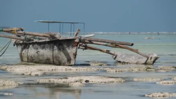 Kapal Wooden Tradisional Afrika Terdampar di Pasir di Pantai di Low Tide, Zanzibar — Stok Video