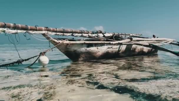 Tradiční africký dřevěný člun uvízlý v písku na pláži při odlivu, Zanzibar — Stock video