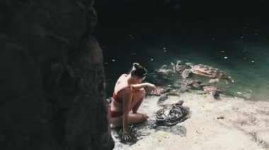 Baraka Doğal Akvaryumu, Zanzibar 'da Dev Deniz Kaplumbağalarına Yosun Besleyen Kadın