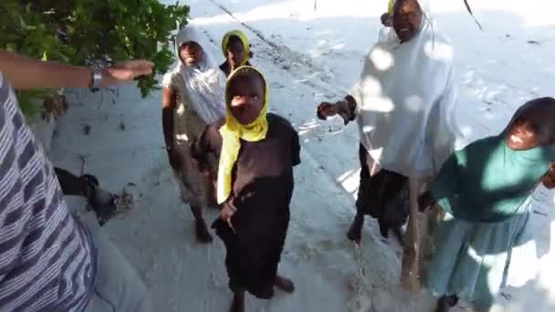 Un gruppo di bambini africani estorcono denaro su una spiaggia di Zanzibar, Africa. — Video Stock