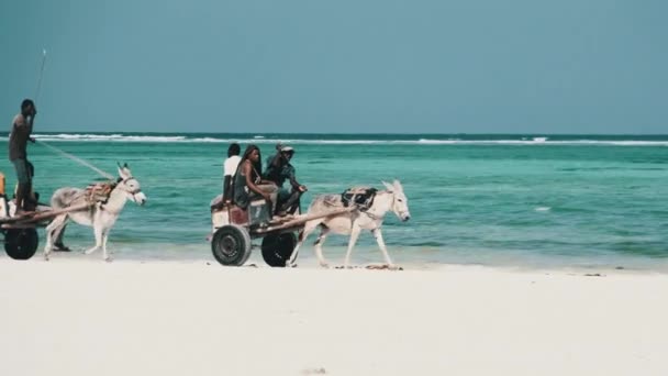 Carrinhos de burro com africanos locais Passeio ao longo da praia de areia pelo oceano, Zanzibar — Vídeo de Stock