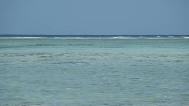 Yüksek Gelgit, Zanzibar 'da Turkuaz Okyanusu ve Gelgit Akıntıları — Stok video