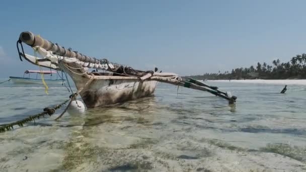 Traditionell afrikansk fiskebåt Stranded i Sand på stranden vid Low Tide, Zanzibar — Stockvideo