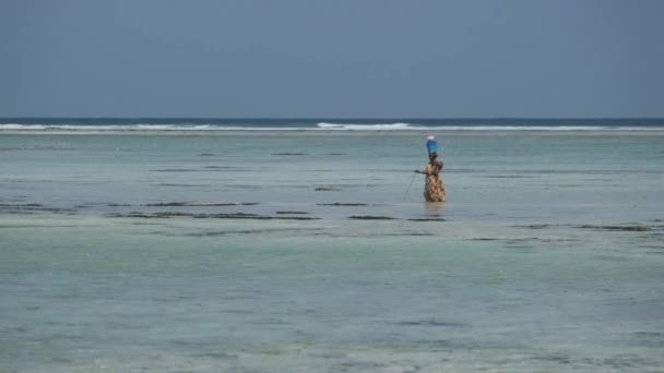 Místní africká žena s kyblíkem na hlavě procházky v mělkém oceánu vody, Zanzibar — Stock video