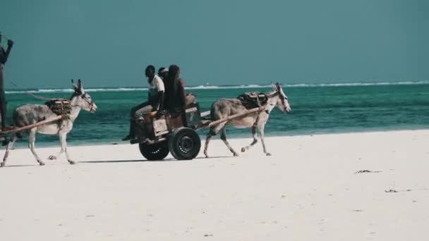 Ezelkarren met lokale Afrikanen rijden langs het zandstrand bij Ocean, Zanzibar — Stockvideo