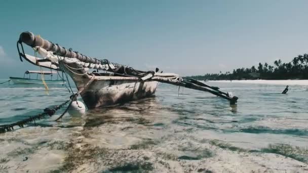 Afrikaanse traditionele houten boot gestrand in Zand op het strand bij Low Tide, Zanzibar — Stockvideo
