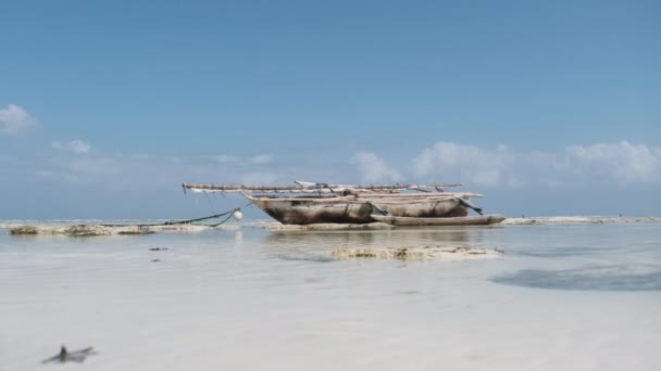 Afrikai hagyományos fahajó rekedt homokban a tengerparton apálykor, Zanzibár — Stock videók