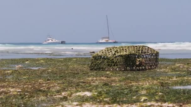 Африканская ловушка для ловли рыбы и морской звезды на мелководье, отлив, Занзибар — стоковое видео