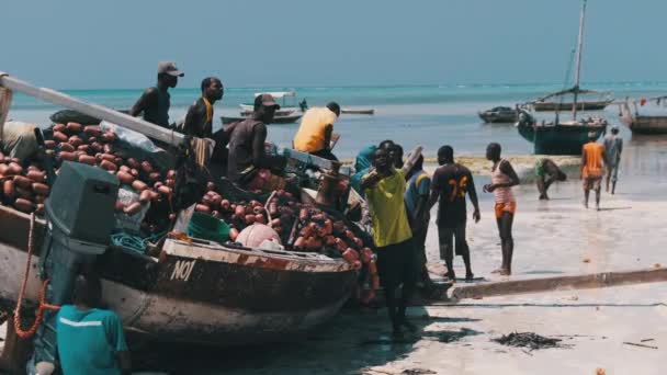 Множество местных африканских рыбаков возле деревянного рыболовного судна Dhow на песчаном берегу — стоковое видео