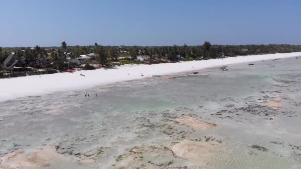 Ωκεανός σε χαμηλή παλίρροια, Αεροφωτογραφία, Zanzibar, Shallows of Coral Reef, Παραλία Matemwe — Αρχείο Βίντεο