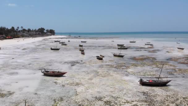 Многие рыбацкие лодки застряли в песке у берега у Низкого прилива, Занзибар, Вид с воздуха — стоковое видео
