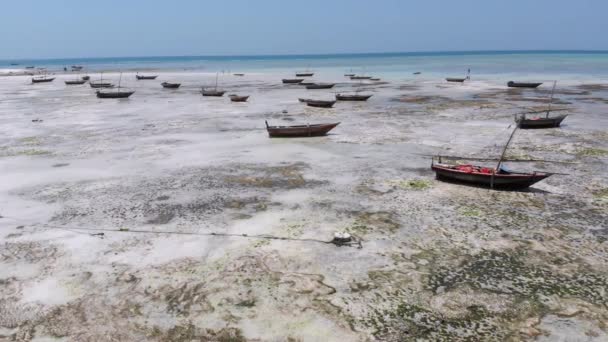 Muitos barcos de pesca presos na areia ao largo da costa em Low Tide, Zanzibar, vista aérea — Vídeo de Stock