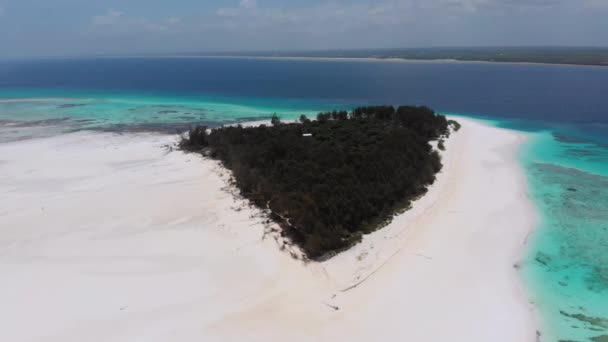 Paradise Private Island of Mnefa in Turquoise Ocean, Zanzibar, Aerial View — стоковое видео