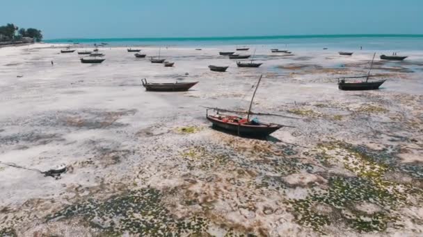 Beaucoup de bateaux de pêche coincés dans le sable au large de la côte à marée basse, Zanzibar, Vue Aérienne — Video