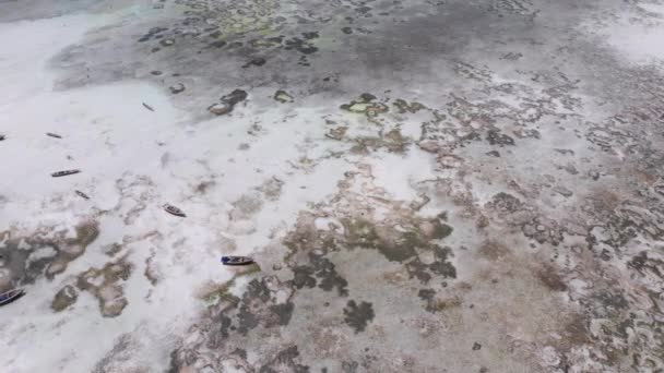 Muchos barcos de pesca atrapados en la arena frente a la costa en la marea baja, Zanzíbar, Vista aérea — Vídeo de stock