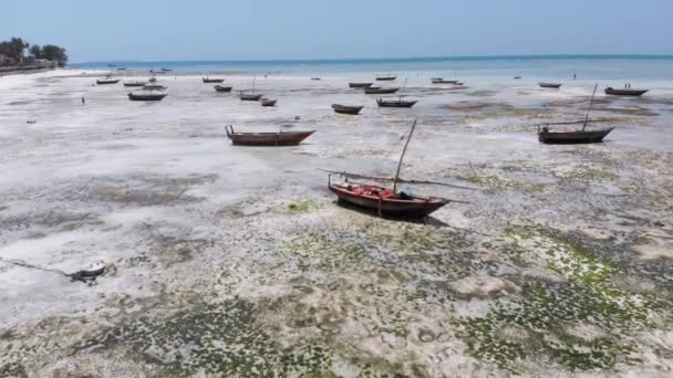 Many Fishing Boats Stuck in Sand off Coast at Low Tide, Zanzibar, Aerial View — стокове відео