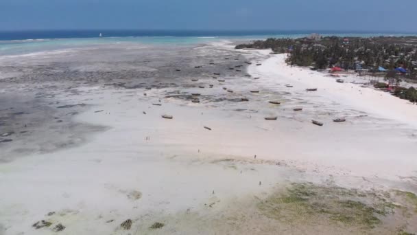 Muchos barcos de pesca atrapados en la arena frente a la costa en la marea baja, Zanzíbar, Vista aérea — Vídeo de stock