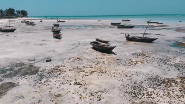 Viele Fischerboote stecken bei Ebbe vor der Küste im Sand fest, Sansibar, Luftaufnahme — Stockvideo