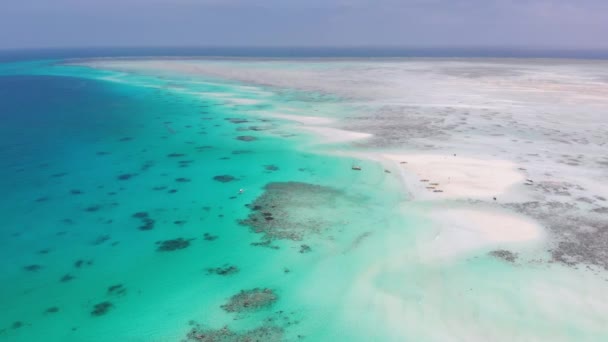 Sandbands in the Middle of Ocean by Tropical Island Mnemba, Zanzibar Aerial View — стокове відео