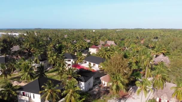 Paradise Coast Resort med palmer och hotell vid havet, Zanzibar, Flygfoto — Stockvideo